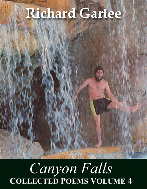 cover of Canyon Falls